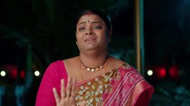 Chamanthi (Zee Telugu) S01 E27 30th January 2025