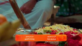 Chamanthi (Zee Telugu) S01 E28 31st January 2025
