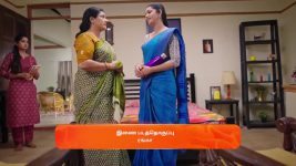 Gattimelam S01 E02 21st January 2025