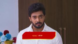 Geeta LLB (Star Maa) S01 E41 Ankita, Viraj Join Hands