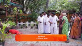 Idhayam S01 E569 25th January 2025