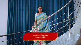 Intinti Ramayanam (Star Maa) S01 E199 Avani Faces Accusations
