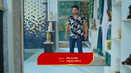 Intinti Ramayanam (Star Maa) S01 E201 Bhanumathi, Pallavi Are Overjoyed