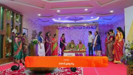 Janaki Ramayya Gari Manavaralu S01 E216 11th January 2025