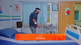 Janaki Ramayya Gari Manavaralu S01 E218 15th January 2025