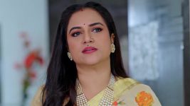 Janaki Ramayya Gari Manavaralu S01 E219 16th January 2025