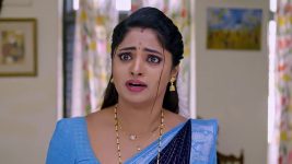 Janaki Ramayya Gari Manavaralu S01 E221 18th January 2025