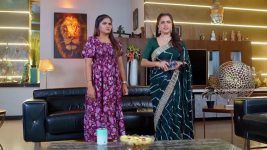 Janaki Ramayya Gari Manavaralu S01 E224 22nd January 2025