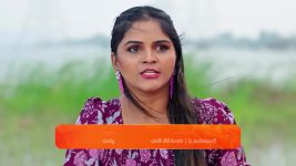 Janaki Ramayya Gari Manavaralu S01 E225 23rd January 2025