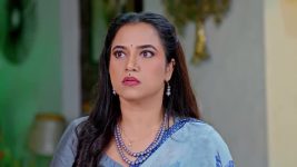 Janaki Ramayya Gari Manavaralu S01 E230 29th January 2025
