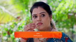 Janaki Ramayya Gari Manavaralu S01 E232 31st January 2025