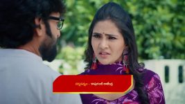 Karthika Deepam S02 E243 Dasarath Doubts Parijatham