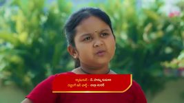 Karthika Deepam S02 E250 Karthik Is Praised