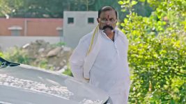 Lakshmi Nivasa S01 E493 24th January 2025
