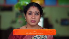 Maa Annaya (Zee Telugu) S01 E256 2nd January 2025