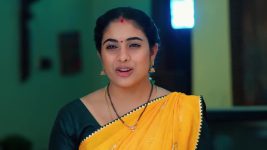 Maa Annaya (Zee Telugu) S01 E261 7th January 2025