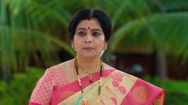 Maa Annaya (Zee Telugu) S01 E271 20th January 2025