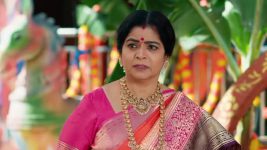 Maa Annaya (Zee Telugu) S01 E273 22nd January 2025