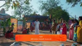 Maa Annaya (Zee Telugu) S01 E274 23rd January 2025