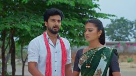Maguva O Maguva S01 E279 Sindhura, Chanti Return Home