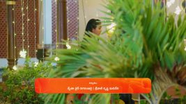 Meghasandesam (Zee Telugu) S01 E195 6th January 2025