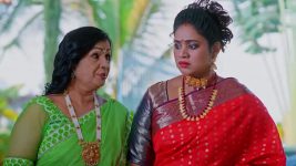 Meghasandesam (Zee Telugu) S01 E199 10th January 2025