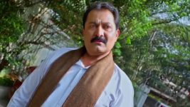 Nindu Noorella Saavasam S01 E465 20th January 2025