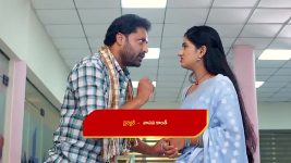 Paape Maa Jeevana Jyothi S01 E1146 Kutti Persuades Aditya