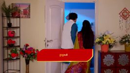 Paape Maa Jeevana Jyothi S01 E1155 Sunandha, Aditya are Displeased