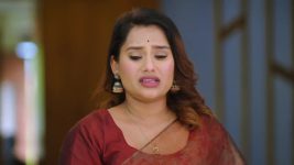 Paaru (Zee Marathi) S01 E313 4th January 2025