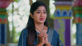 Padamati Sandhyaragam S01 E730 2nd January 2025