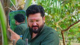 Padamati Sandhyaragam S01 E731 3rd January 2025