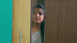 Padamati Sandhyaragam S01 E742 16th January 2025