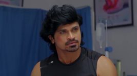 Prema Entha Maduram S01 E1482 31st January 2025