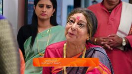 Puttakkana Makkalu S01 E867 17th January 2025
