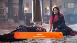Sandhya Raagam (Tamil) S01 E434 26th January 2025