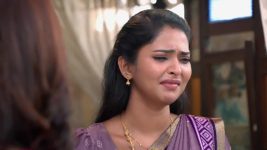 Sandhya Raagam (Tamil) S01 E436 26th January 2025