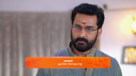 Sandhya Raagam (Tamil) S01 E440 29th January 2025