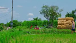 Sandhyaraaga S01 E553 22nd January 2025