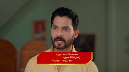 Satyabhama S01 E289 Satya Is Delighted