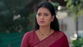 Satyabhama S01 E297 Satya Is Horrified