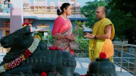 Seethe Ramudi Katnam S01 E398 8th January 2025