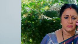 Seethe Ramudi Katnam S01 E411 24th January 2025