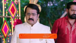Shravani Subramanya S01 E223 22nd January 2025