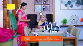 Shravani Subramanya S01 E230 31st January 2025