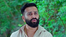 Trinayani (Kannada) S01 E1184 15th January 2025