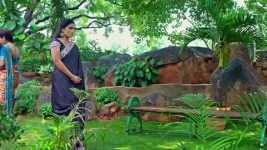 Trinayani (Kannada) S01 E1198 29th January 2025