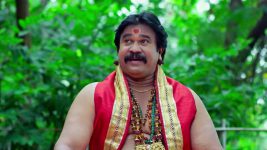 Trinayani (Kannada) S01 E1200 31st January 2025