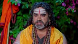 Trinayani (Telugu) S01 E1449 8th January 2025