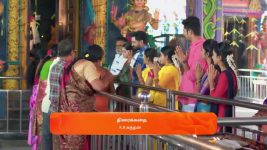 Anna (Tamil) S01 E575 13th January 2025
